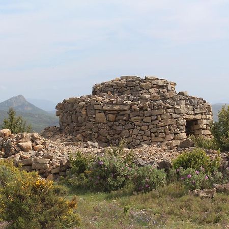 Chez Marie Louise Daire Pézenas Dış mekan fotoğraf