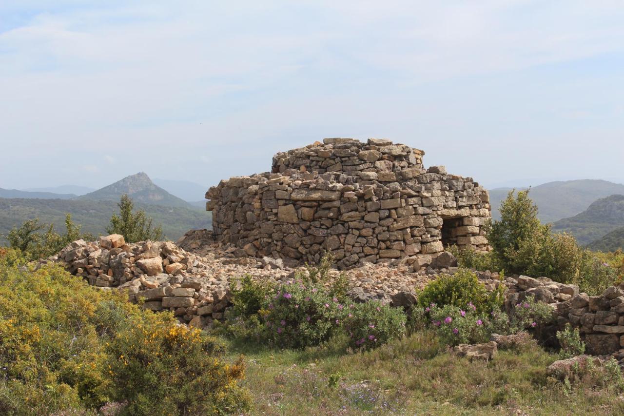Chez Marie Louise Daire Pézenas Dış mekan fotoğraf